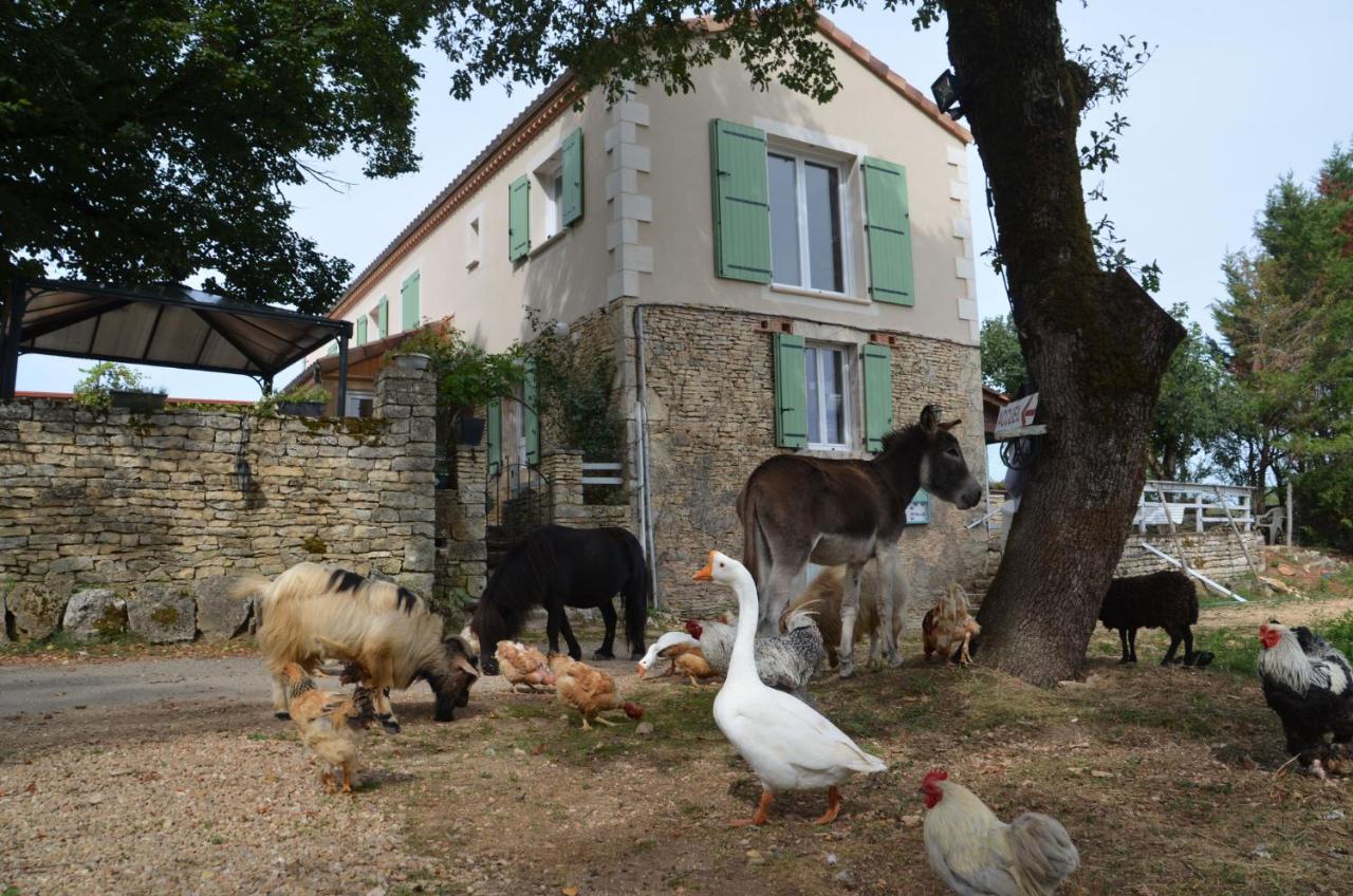 La Ferme Des Vergnes Gabillou Экстерьер фото
