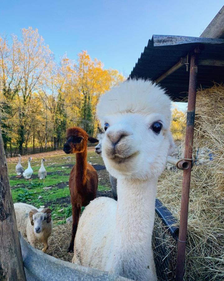 La Ferme Des Vergnes Gabillou Экстерьер фото